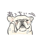 【動く】夏に使えるフレンチブルドッグ2（個別スタンプ：1）