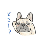 【動く】夏に使えるフレンチブルドッグ2（個別スタンプ：16）