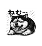 きもかわ犬 シベリアンハスキー（個別スタンプ：13）