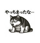 きもかわ犬 シベリアンハスキー（個別スタンプ：21）