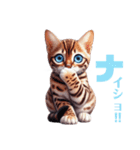 にゃんずベンガル（個別スタンプ：1）
