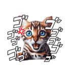 にゃんずベンガル（個別スタンプ：10）