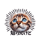にゃんずベンガル（個別スタンプ：15）
