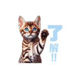 にゃんずベンガル（個別スタンプ：18）