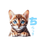 にゃんずベンガル（個別スタンプ：22）