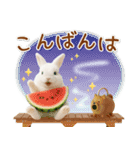 癒しウサギの「夏」の毎日（個別スタンプ：4）