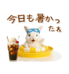 癒しウサギの「夏」の毎日（個別スタンプ：10）