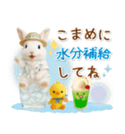 癒しウサギの「夏」の毎日（個別スタンプ：14）