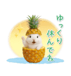 癒しウサギの「夏」の毎日（個別スタンプ：23）