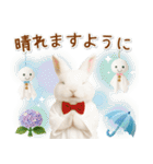癒しウサギの「夏」の毎日（個別スタンプ：29）