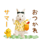 癒しウサギの「夏」の毎日（個別スタンプ：30）