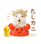 癒しウサギの「夏」の毎日（個別スタンプ：32）