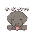 うちのイヌなど (ラブラドール＆チワワ)（個別スタンプ：1）