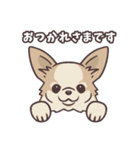 うちのイヌなど (ラブラドール＆チワワ)（個別スタンプ：2）