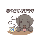うちのイヌなど (ラブラドール＆チワワ)（個別スタンプ：3）