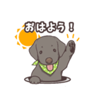 うちのイヌなど (ラブラドール＆チワワ)（個別スタンプ：5）