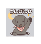うちのイヌなど (ラブラドール＆チワワ)（個別スタンプ：6）