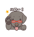 うちのイヌなど (ラブラドール＆チワワ)（個別スタンプ：7）