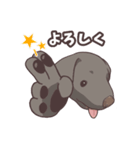 うちのイヌなど (ラブラドール＆チワワ)（個別スタンプ：10）