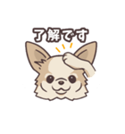 うちのイヌなど (ラブラドール＆チワワ)（個別スタンプ：11）