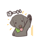 うちのイヌなど (ラブラドール＆チワワ)（個別スタンプ：12）