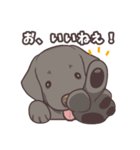 うちのイヌなど (ラブラドール＆チワワ)（個別スタンプ：13）