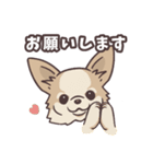 うちのイヌなど (ラブラドール＆チワワ)（個別スタンプ：15）
