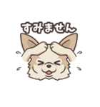 うちのイヌなど (ラブラドール＆チワワ)（個別スタンプ：16）