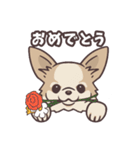 うちのイヌなど (ラブラドール＆チワワ)（個別スタンプ：19）