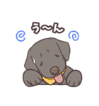 うちのイヌなど (ラブラドール＆チワワ)（個別スタンプ：20）