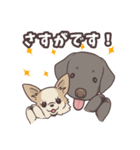 うちのイヌなど (ラブラドール＆チワワ)（個別スタンプ：21）