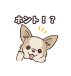 うちのイヌなど (ラブラドール＆チワワ)（個別スタンプ：22）