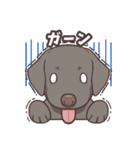 うちのイヌなど (ラブラドール＆チワワ)（個別スタンプ：23）