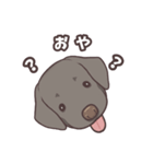 うちのイヌなど (ラブラドール＆チワワ)（個別スタンプ：24）