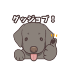 うちのイヌなど (ラブラドール＆チワワ)（個別スタンプ：27）