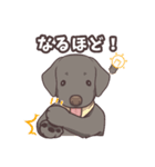うちのイヌなど (ラブラドール＆チワワ)（個別スタンプ：28）