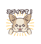 うちのイヌなど (ラブラドール＆チワワ)（個別スタンプ：29）