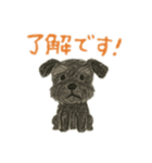 黒シュナウザーのスタンプ①（個別スタンプ：1）