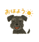 黒シュナウザーのスタンプ①（個別スタンプ：2）