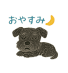 黒シュナウザーのスタンプ①（個別スタンプ：3）