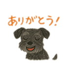 黒シュナウザーのスタンプ①（個別スタンプ：4）