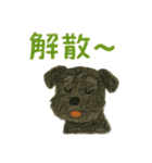 黒シュナウザーのスタンプ①（個別スタンプ：11）