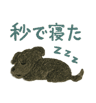 黒シュナウザーのスタンプ①（個別スタンプ：12）