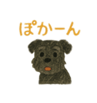 黒シュナウザーのスタンプ①（個別スタンプ：13）