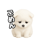 日常会話verポメラニアンの子犬（個別スタンプ：11）