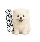 日常会話verポメラニアンの子犬（個別スタンプ：13）