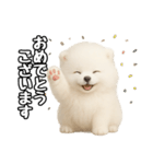 日常会話verポメラニアンの子犬（個別スタンプ：15）