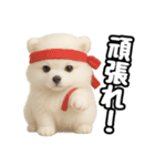 日常会話verポメラニアンの子犬（個別スタンプ：16）