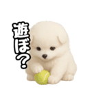 日常会話verポメラニアンの子犬（個別スタンプ：18）