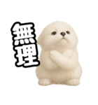 日常会話verポメラニアンの子犬（個別スタンプ：19）